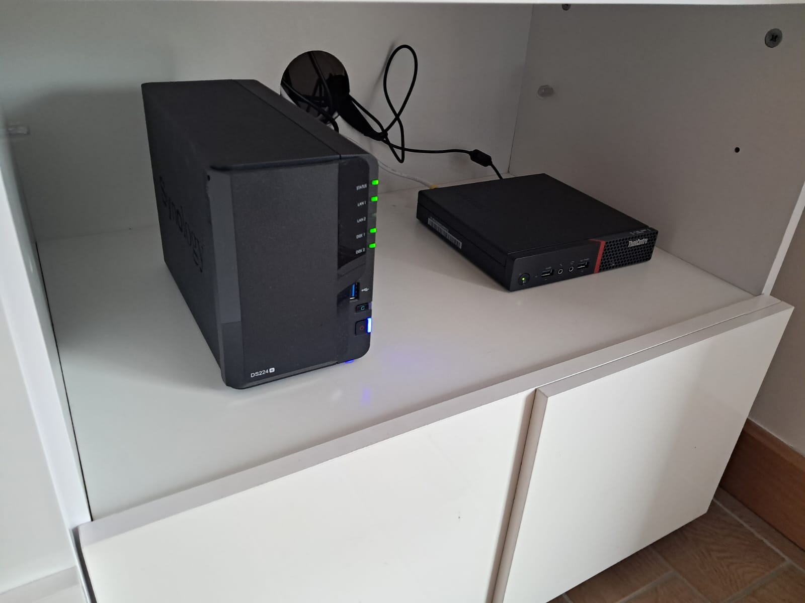lab